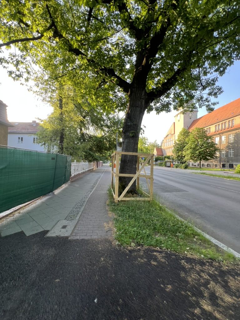 Wurzelschutz und Baumschutz bei Bauarbeiten